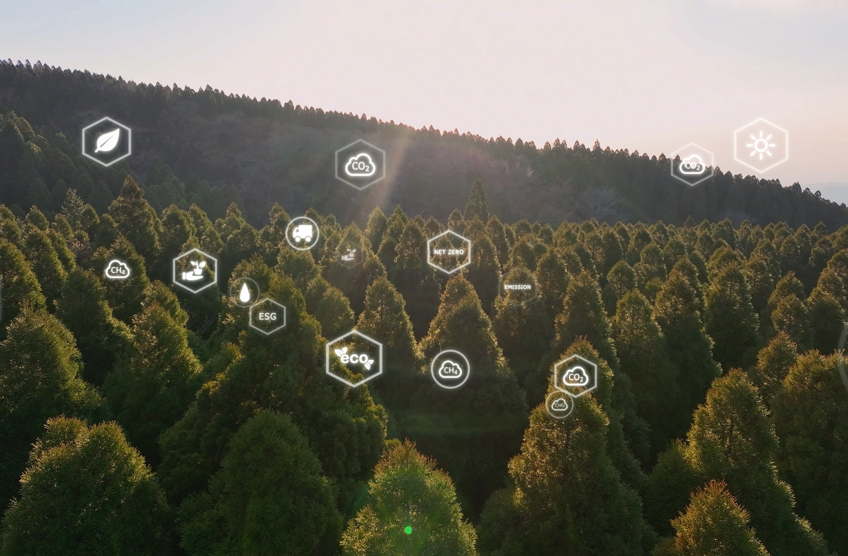 forest-innovation-hexagrams-in-the-air