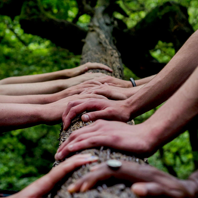 Community Picture from Unsplash Community Picture from Unsplash