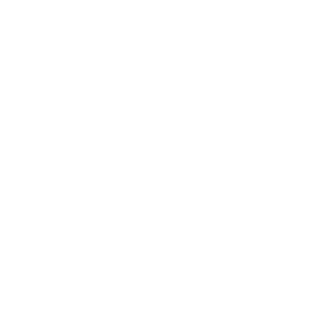 Chain of Custody Documentation