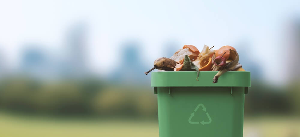 food waste