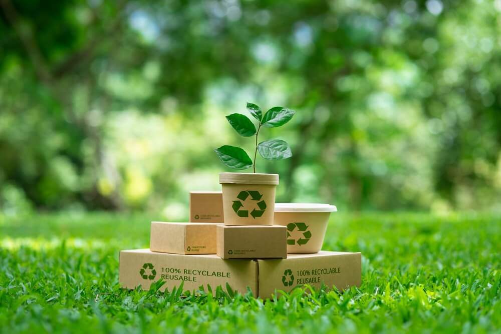 Transforming Waste into Revenue: Opportunities in Recycling